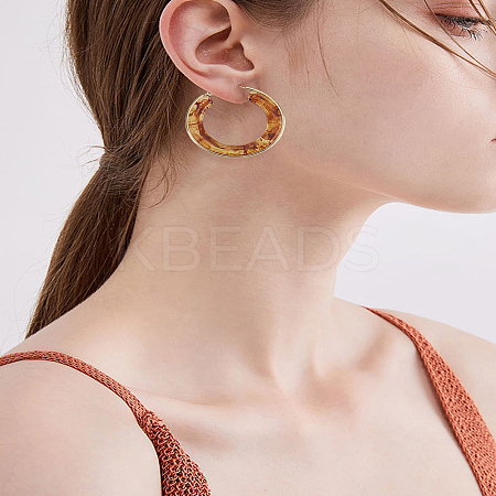1 Pair 304 Stainless Steel Hoop Earrings For Women EJEW-LP0011-06B-1
