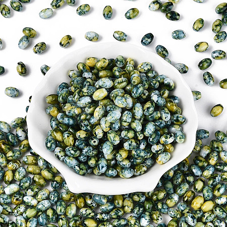 Glass Seed Beads SEED-T009-02E-1