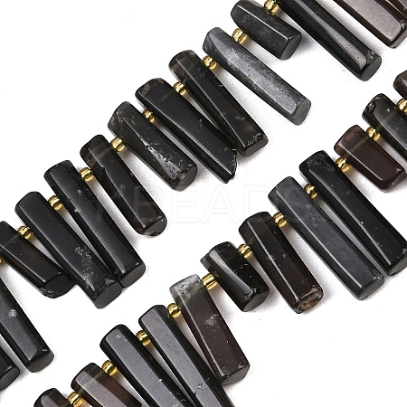 Natural Tektite Beads Strands G-F829-A08-01-1