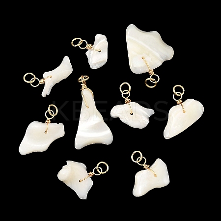 Natural Shell Pendants PALLOY-JF05923-1