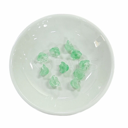 Glass Beads GLAA-WH0030-30F-1