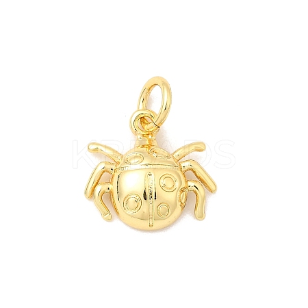 Brass Charms KK-I364-05G-02-1