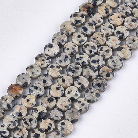 Natural Dalmatian Jasper Beads Strands G-S354-17-1