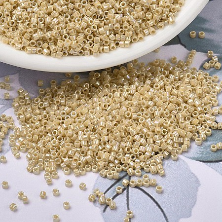 MIYUKI Delica Beads SEED-X0054-DB1571-1