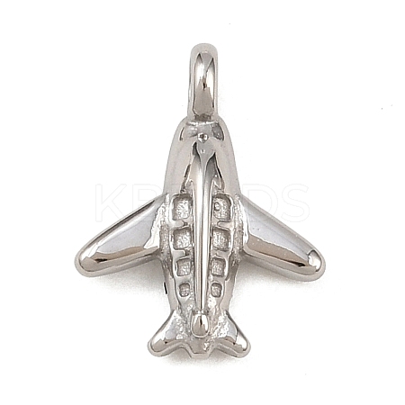 304 Stainless Steel Charms STAS-I360-02P-1