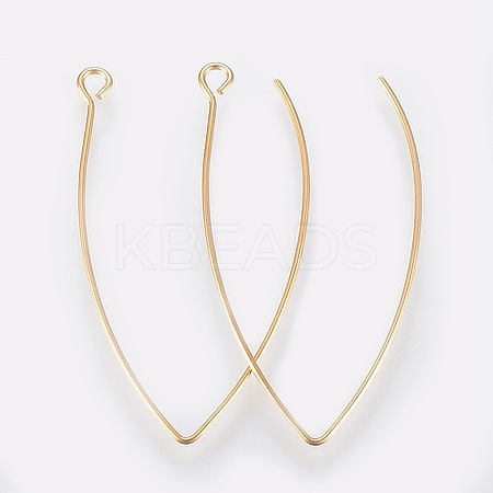 Ion Plating(IP) 304 Stainless Steel Earring Hooks X-STAS-K184-05-01G-A-1