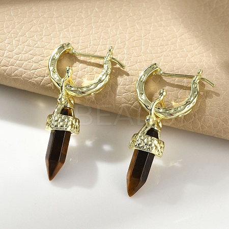 Natural Tiger Eye Hoop Earrings EJEW-P306-01G-09-1