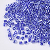 8/0 Two Cut Glass Seed Beads SEED-S033-10A-02-2