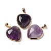 Natural Amethyst Pendants G-K335-04G-17-1