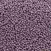 TOHO Round Seed Beads X-SEED-TR11-0554-2