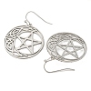 Tarnish Resistant 304 Stainless Steel Dangle Earrings for Women EJEW-F338-04P-01-2