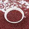 MIYUKI Round Rocailles Beads SEED-X0055-RR0010-2