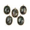 Natural African Turquoise(Jasper) Pendants STAS-F322-15G-04-1