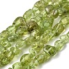 Natural Peridot Beads Strands G-H346-A01-01-2