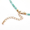 Natural Gemstone Beaded Necklaces NJEW-JN03315-4