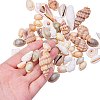 Natural Trumpet Shell Beads BSHE-PH0001-11-3