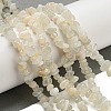Natural White Moonstone Beads Strands G-P332-01-1