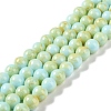Baking Paint Glass Bead Strands GLAA-H031-01C-08-1