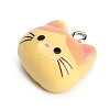 Printed Opaque Resin Pendants RE-CBA08CD-02C-2
