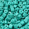 Baking Paint Glass Bead SEED-H002-K-D304-3