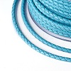 Braided Cowhide Cord WL-I003-3mm-C-18-3