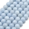 Natural Malaysia Jade Beads Strands G-L645-A01-10mm-16-1