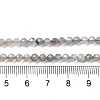 Natural Rainbow Moonstone Beads Strands LS-G-R475-025D-4