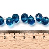Transparent Glass Beads GLAA-Z017-01N-4