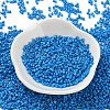 Baking Paint Glass Seed Beads X-SEED-S042-05B-76-2