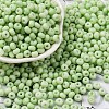 Baking Paint Glass Seed Beads SEED-C003-02D-1