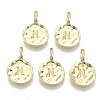 Alloy Pendants LS-X-PALLOY-N157-004N-NR-1