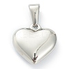 304 Stainless Steel Pendants STAS-P278-01C-P-2