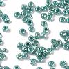 8/0 Glass Seed Beads X1-SEED-A017-3mm-1119-3