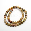 Round Natural Crazy Lace Agate Beads Strands G-P058C-01-1