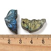 Natural Labradorite Carved Cabochons G-C152-03B-3