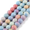 Natural Rainbow Alashan Agate Beads Strands G-G806-04-10mm-01-2