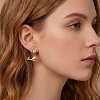 304 Stainless Steel Cubic Zirconia Stud Dangle Earrings for Women WG7577E-01-4