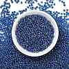 MIYUKI 3.4mm Drop Beads SEED-MY04-DP291-3