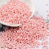 Baking Paint Glass Seed Beads X-SEED-S042-05B-85-1