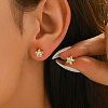 Star Brass Stud Earrings MO5504-4