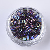 6/0 Glass Seed Beads SEED-S027-06B-09-2