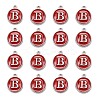 Platinum Plated Alloy Enamel Charms LS-ENAM-S118-03B-P-2