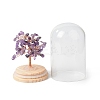 Natural Amethyst Chips Money Tree in Dome Glass Bell Jars with Wood Base Display Decorations DJEW-B007-04G-3