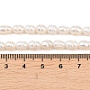 Natural Cultured Freshwater Pearl Beads Strands PEAR-F020-19-5