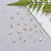 Alloy Beads PALLOY-CJ0001-45-6