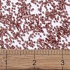 MIYUKI Delica Beads X-SEED-J020-DB2160-4