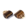 Natural Tiger Eye Pendants G-Q602-01G-02-2