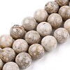 Natural Maifanite/Maifan Stone Beads Strands G-I187-10mm-01-5
