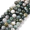 Natural Tree Agate Beads Strands G-K194-10mm-02-2