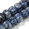 Natural Blue Spot Jasper Beads Strands G-G142-A13-01-2